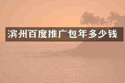 滨州百度推广包年多少钱