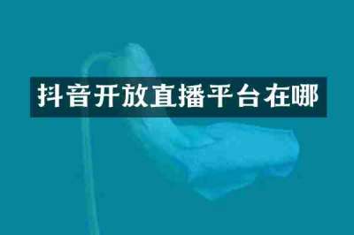 抖音开放直播平台在哪