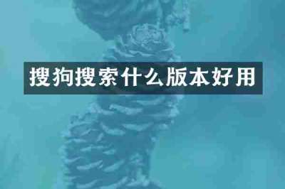 搜狗搜索什么版本好用
