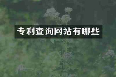 专利查询网站有哪些