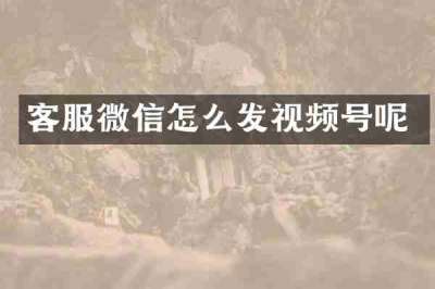 客服微信怎么发视频号呢