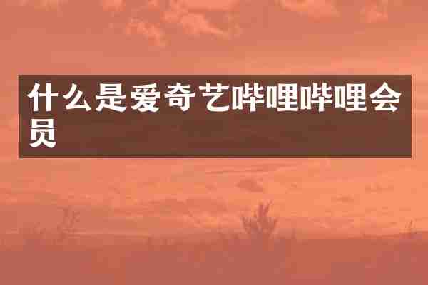 什么是爱奇艺哔哩哔哩会员