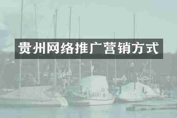 贵州网络推广营销方式