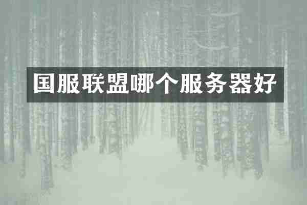 国服联盟哪个服务器好