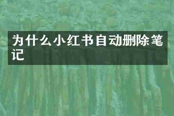 为什么小红书自动删除笔记