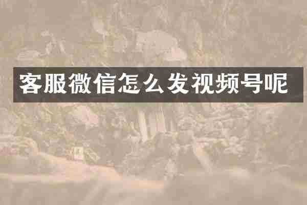 客服微信怎么发视频号呢