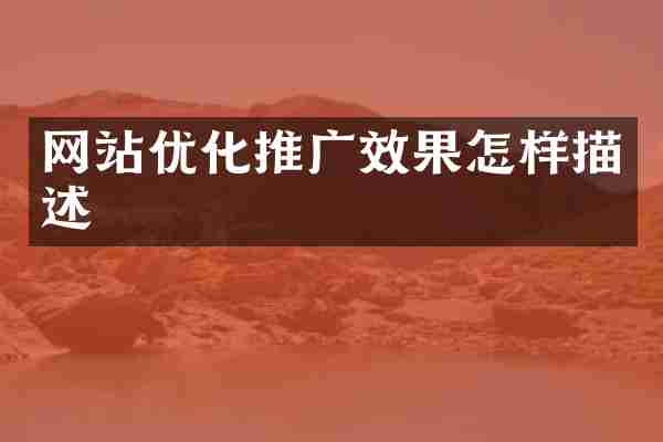网站优化推广效果怎样描述