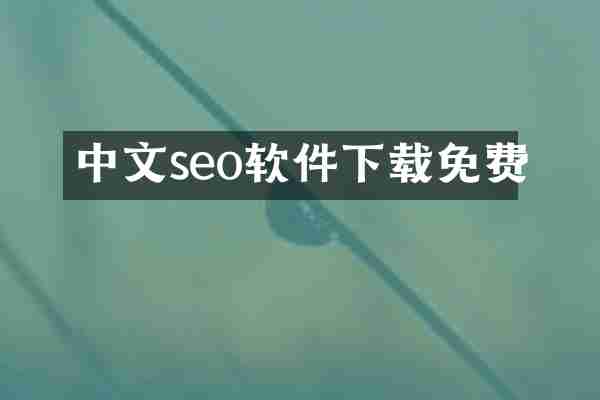 中文seo软件下载免费