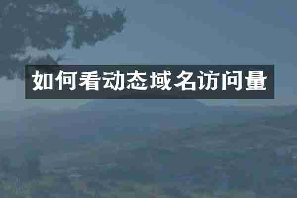 如何看动态域名访问量