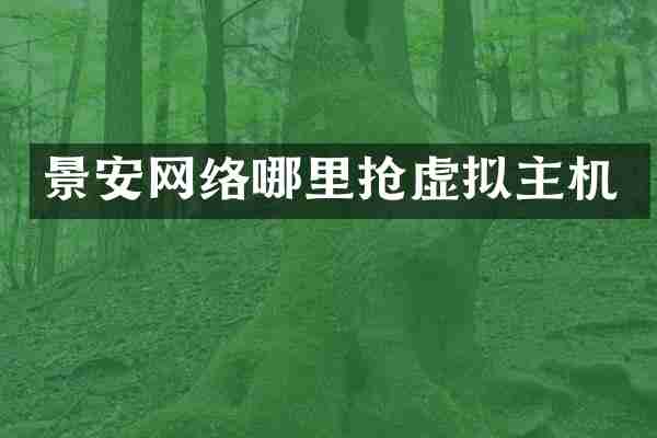景安网络哪里抢虚拟主机
