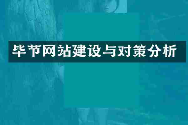 毕节网站建设与对策分析