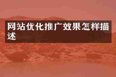 网站优化推广效果怎样描述