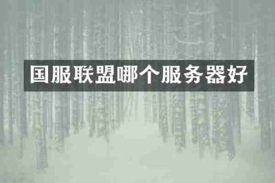 国服联盟哪个服务器好