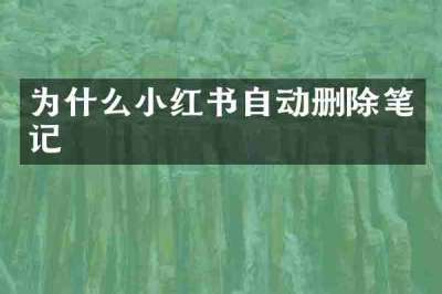 为什么小红书自动删除笔记