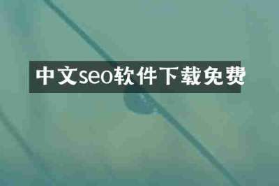 中文seo软件下载免费