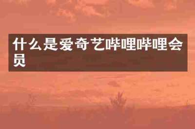 什么是爱奇艺哔哩哔哩会员