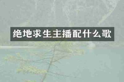 绝地求生主播配什么歌