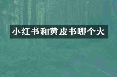小红书和黄皮书哪个火
