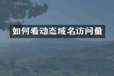 如何看动态域名访问量
