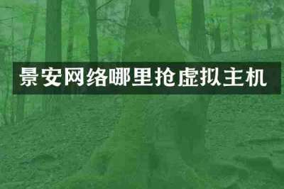 景安网络哪里抢虚拟主机
