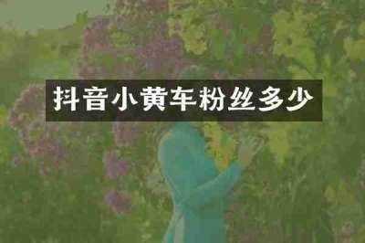 抖音小黄车粉丝多少