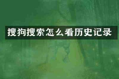 搜狗搜索怎么看历史记录