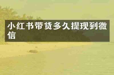 小红书带货多久提现到微信