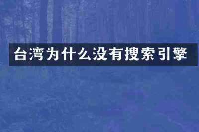 台湾为什么没有搜索引擎