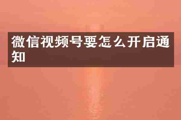 微信视频号要怎么开启通知
