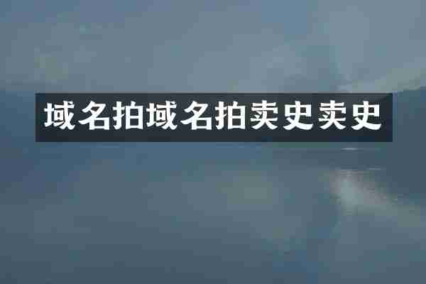域名拍域名拍卖史卖史