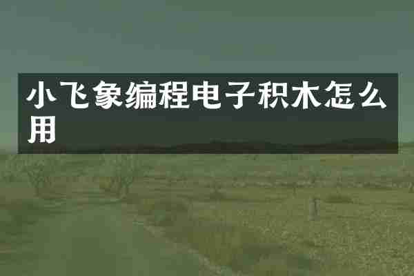 小飞象编程电子积木怎么用