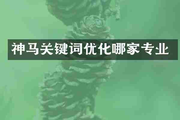 神马关键词优化哪家专业