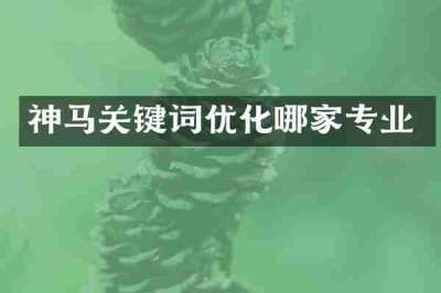 神马关键词优化哪家专业