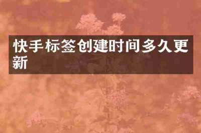 快手标签创建时间多久更新