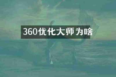 360优化大师为啥