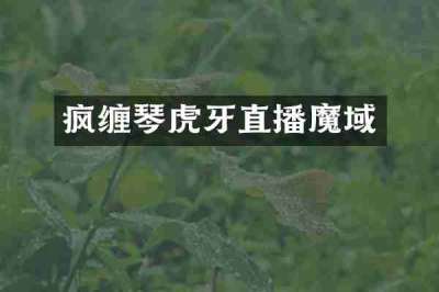 疯缠琴虎牙直播魔域