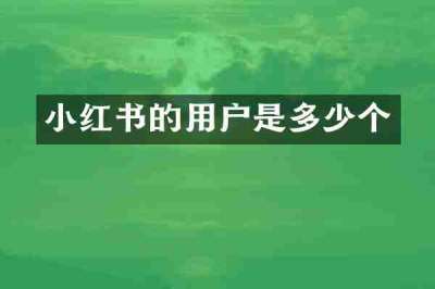 小红书的用户是多少个