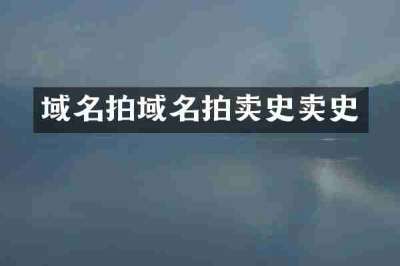 域名拍域名拍卖史卖史