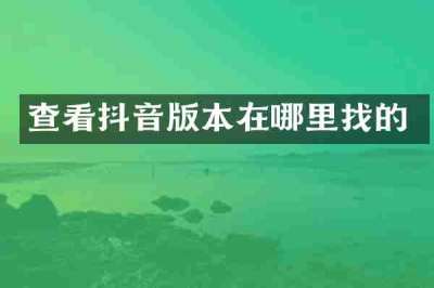 查看抖音版本在哪里找的