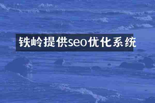铁岭提供seo优化系统