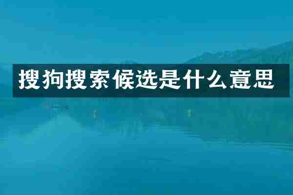 搜狗搜索候选是什么意思