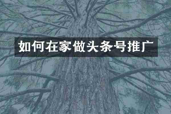 如何在家做头条号推广