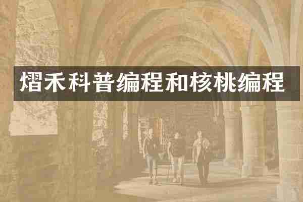 熠禾科普编程和核桃编程