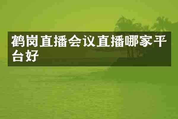 鹤岗直播会议直播哪家平台好