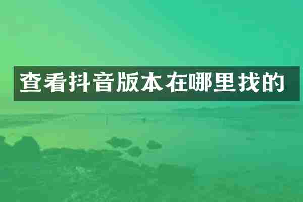 查看抖音版本在哪里找的