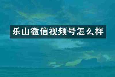 乐山微信视频号怎么样