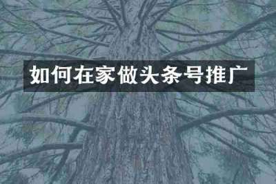 如何在家做头条号推广