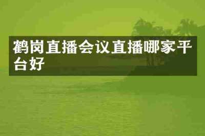 鹤岗直播会议直播哪家平台好