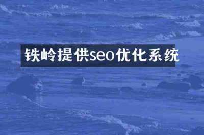 铁岭提供seo优化系统