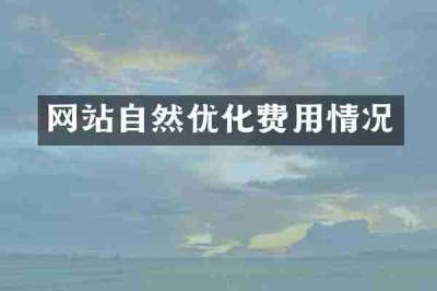 网站自然优化费用情况